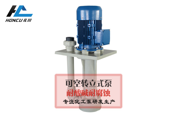 槽内立式泵